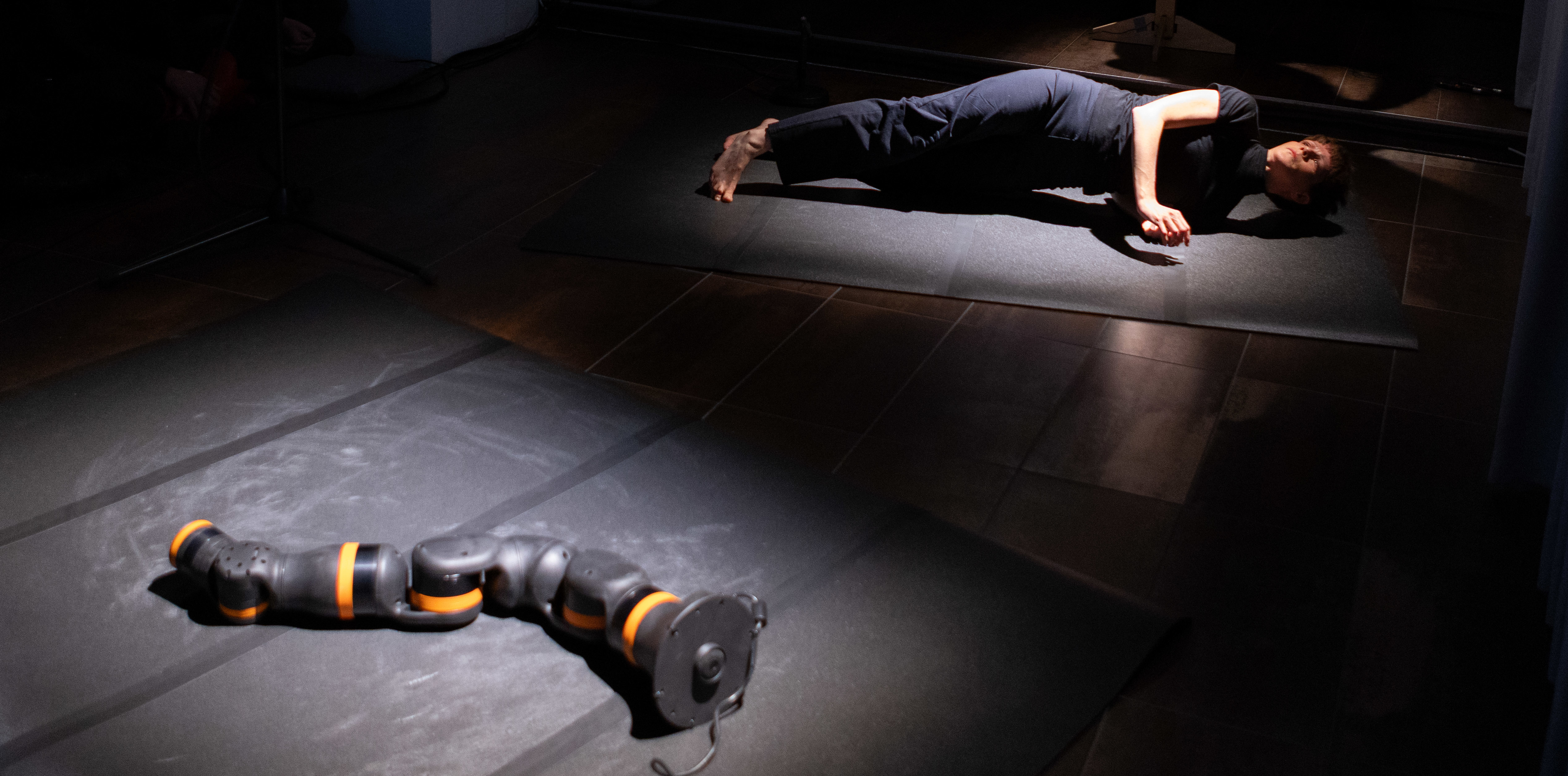 ARTIFICIAL BODIES  KNSTLICHE KRPER  ART & SCIENCE   Performances/Projekte/Artistic Research  Eva-Maria Kraft
